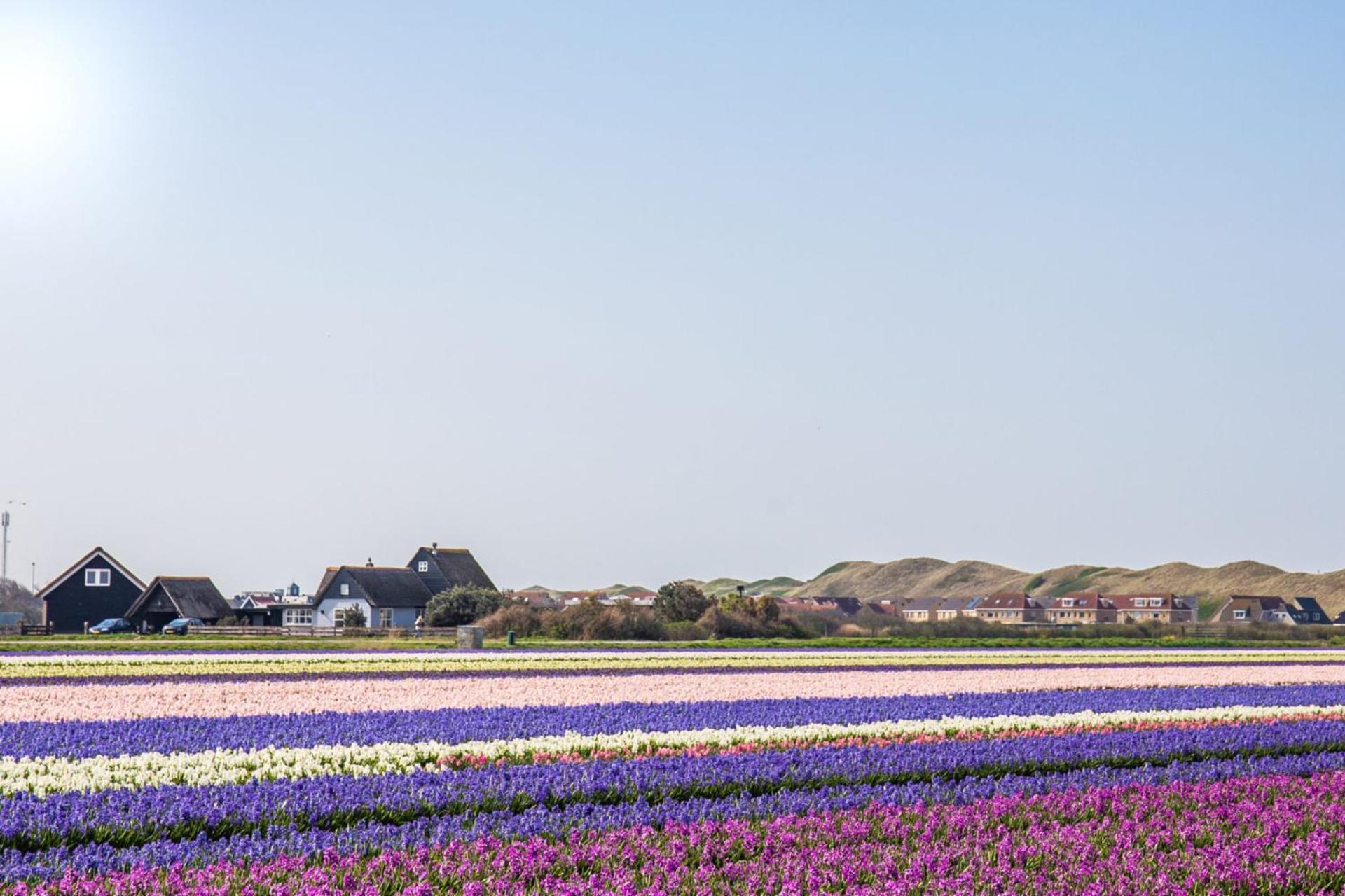 Beach Appartement 17 - Aan De Duinen, Callantsoog Aan Zee Exterior foto